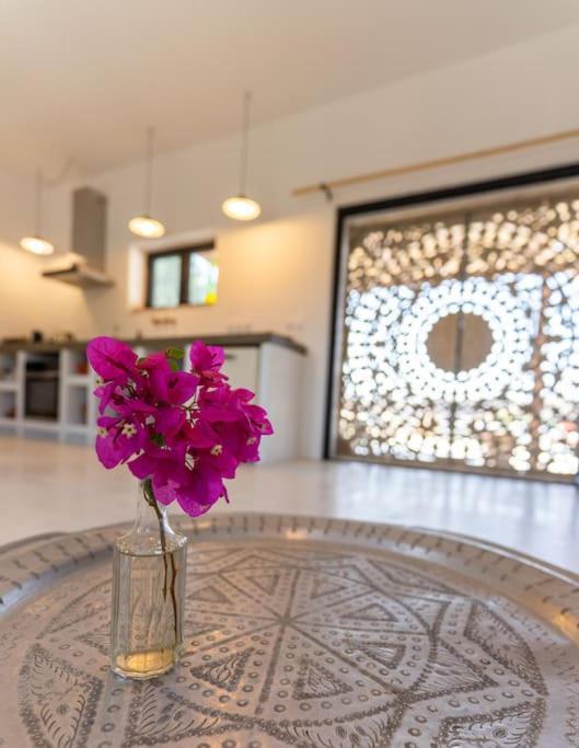 Villa Louloudia Stylish Luxury Villa With Private Pool ピツイディア エクステリア 写真