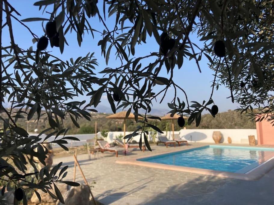 Villa Louloudia Stylish Luxury Villa With Private Pool ピツイディア エクステリア 写真