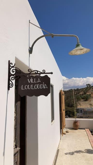 Villa Louloudia Stylish Luxury Villa With Private Pool ピツイディア エクステリア 写真