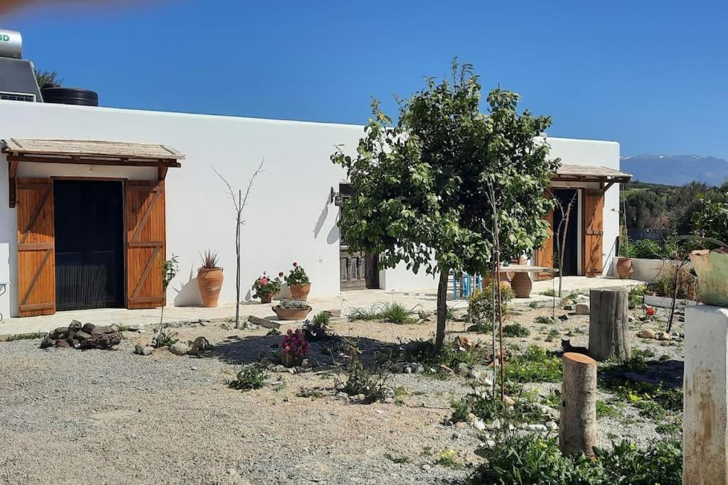Villa Louloudia Stylish Luxury Villa With Private Pool ピツイディア エクステリア 写真