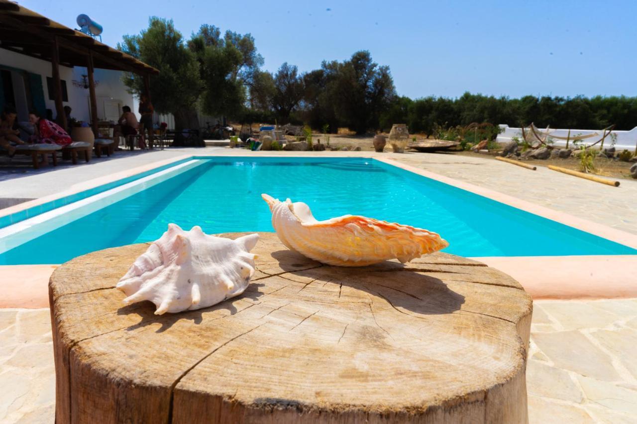 Villa Louloudia Stylish Luxury Villa With Private Pool ピツイディア エクステリア 写真